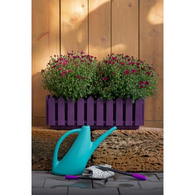 ����� ����� ������������� (�������)