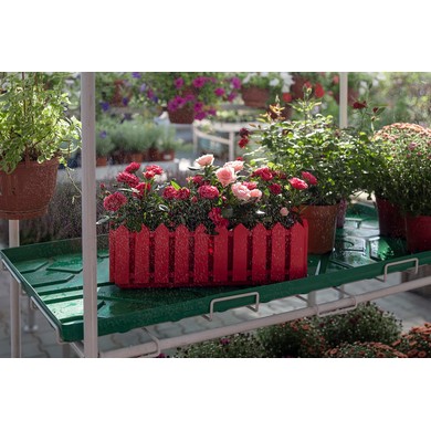 ����� ����� ������������� (����-�������)