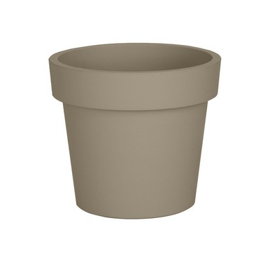 ����� ���� 16 � ����� �������