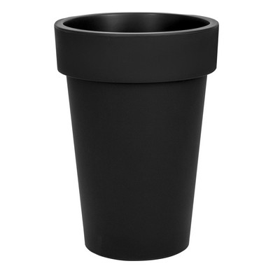 ����� ���� ���� 120 � ��������