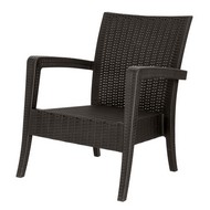 ������-����� ����������� Ola Dom (����������)