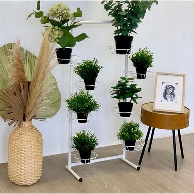 ��������� ��� ������ ����