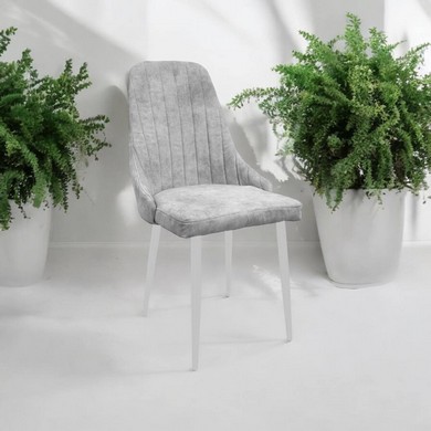 ���� ����� (�����/����� �����)