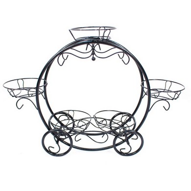 ���������� �� 5 ������� ������ ���� (������)