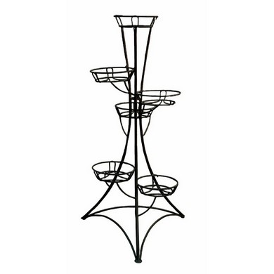 ���������� �� 6 ������� �������� (������)