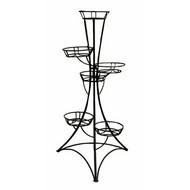 ���������� �� 6 ������� �������� (������)