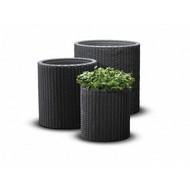 �������� ����� 3 �� CYLINDER PLANTERS (������)