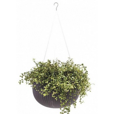 ����� ��������� COZY Planter S 3,2L (���������)