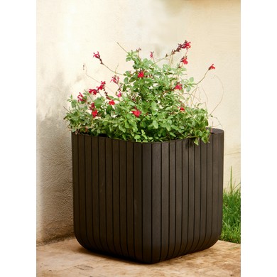 ����� CUBE PLANTERS 22� (����������)