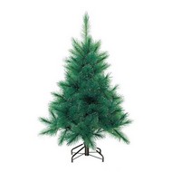   Mister Douglas Pine 160