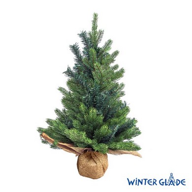   Winter Glade  60 