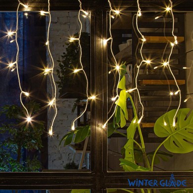  - Winter Glade    250 