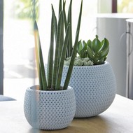    Splofy Bowl DKSP370-656U 9  ()