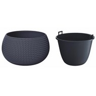    Splofy Bowl DKSP370-S433 9  ()