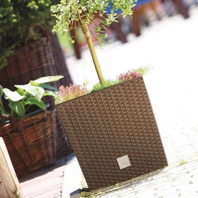    Rato Low DRTS400L-440U 37  64  ()