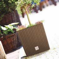    Rato Low DRTS400L-440U 37  64  ()