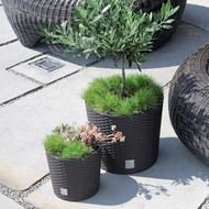    Rato Round DRTUS400L-S433 35  37.65  ()