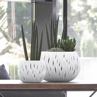   Sandy Bowl DSK370-S449 9  ()