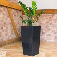    Urbi Square DURS400-S433 37  91,5  ()