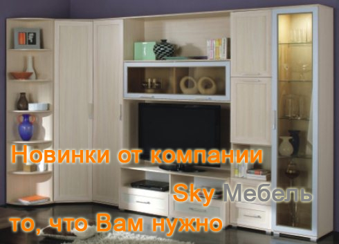 Все новинки в интернет-гипермаркете SkyMeb.ru