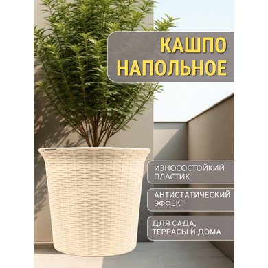 ����� ������� ��� ������ 50� ����� (�������)