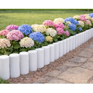 ������ ������� ����� 1 �� (�����)